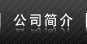 公司簡介
